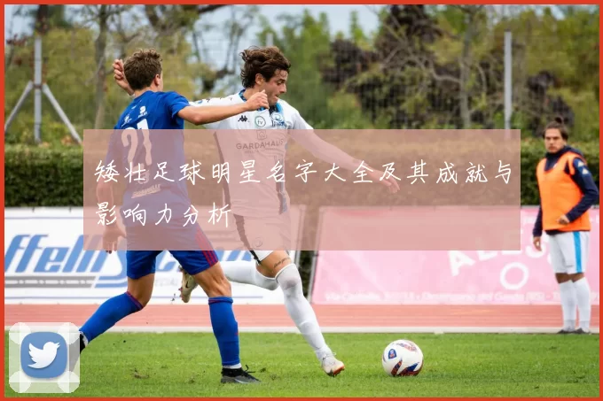 矮壮足球明星名字大全及其成就与影响力分析