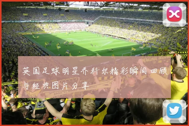 英国足球明星乔科尔精彩瞬间回顾与经典图片分享