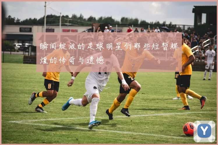 瞬间绽放的足球明星们那些短暂辉煌的传奇与遗憾