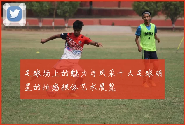 足球场上的魅力与风采十大足球明星的性感裸体艺术展览