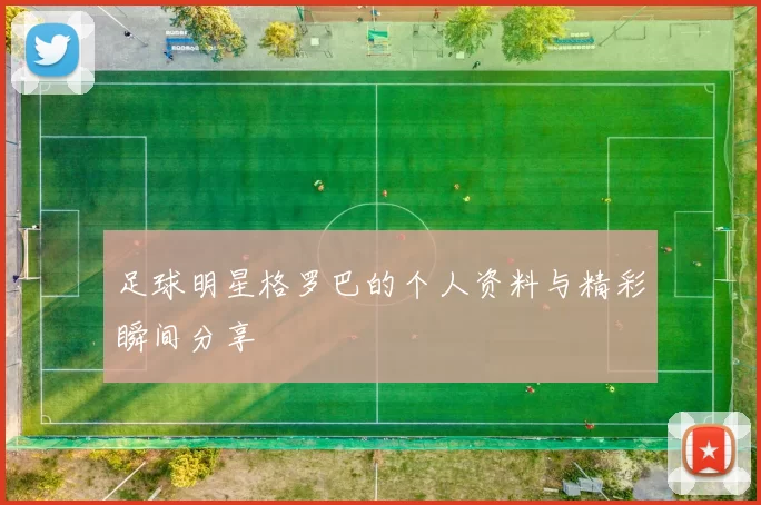 足球明星格罗巴的个人资料与精彩瞬间分享