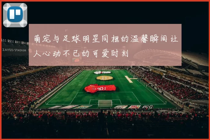 萌宠与足球明星同框的温馨瞬间让人心动不已的可爱时刻