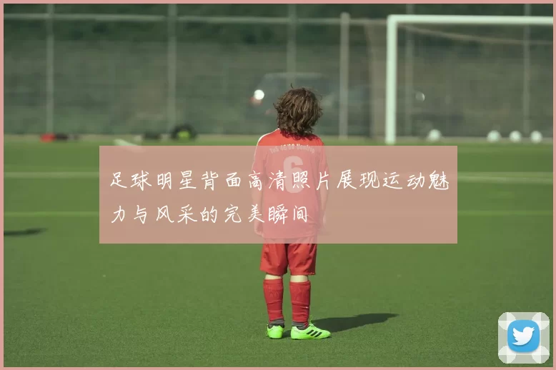 足球明星背面高清照片展现运动魅力与风采的完美瞬间